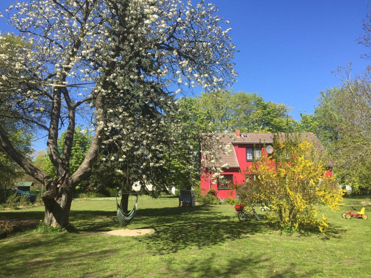 Ferienhaus 1 _ Ferien Im Gutspark Mattchow Dış mekan fotoğraf