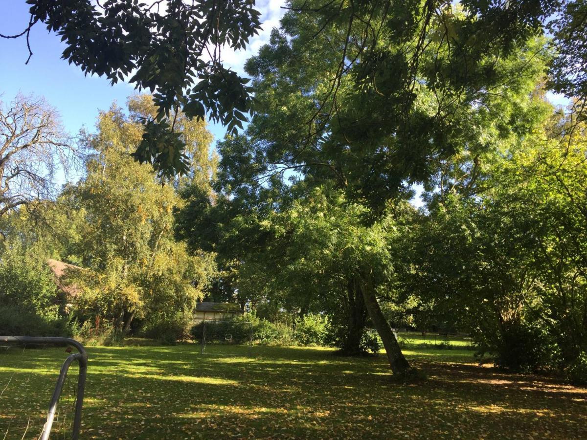 Ferienhaus 1 _ Ferien Im Gutspark Mattchow Dış mekan fotoğraf